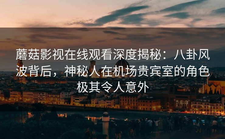 蘑菇影视在线观看深度揭秘：八卦风波背后，神秘人在机场贵宾室的角色极其令人意外