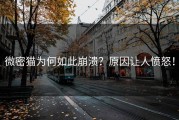 微密猫为何如此崩溃？原因让人愤怒！