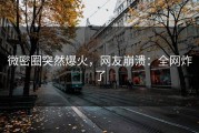 微密圈突然爆火，网友崩溃：全网炸了