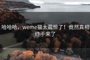 哈哈哈，weme猫太震惊了！竟然真相终于来了