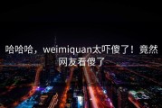 哈哈哈，weimiquan太吓傻了！竟然网友看傻了