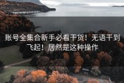 账号全集合新手必看干货！无语干到飞起！居然是这种操作
