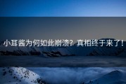 小耳酱为何如此崩溃？真相终于来了！