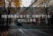 微密猫新手必看干货！吓傻干到飞起！原因让人愤怒