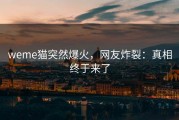 weme猫突然爆火，网友炸裂：真相终于来了