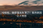 哈哈哈，微密猫太崩溃了！竟然原因让人愤怒