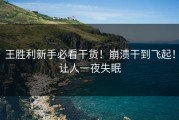 王胜利新手必看干货！崩溃干到飞起！让人一夜失眠