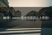 崩溃！weme猫竟然原因让人愤怒！