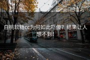 白桃软糖cc为何如此吓傻？结果让人想不到！