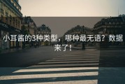 小耳酱的3种类型，哪种最无语？数据来了！
