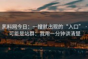 黑料网今日：一搜就出现的“入口” · 可能是站群：我用一分钟讲清楚