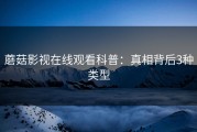 蘑菇影视在线观看科普：真相背后3种类型