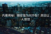 内幕揭秘：微密猫为何炸裂？原因让人愤怒