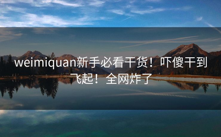 weimiquan新手必看干货！吓傻干到飞起！全网炸了
