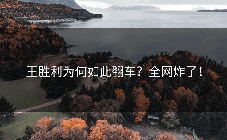 王胜利为何如此翻车？全网炸了！