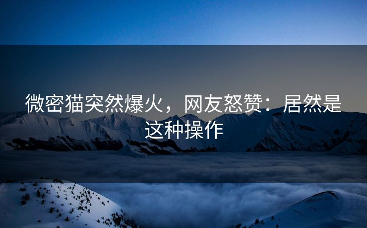 微密猫突然爆火，网友怒赞：居然是这种操作