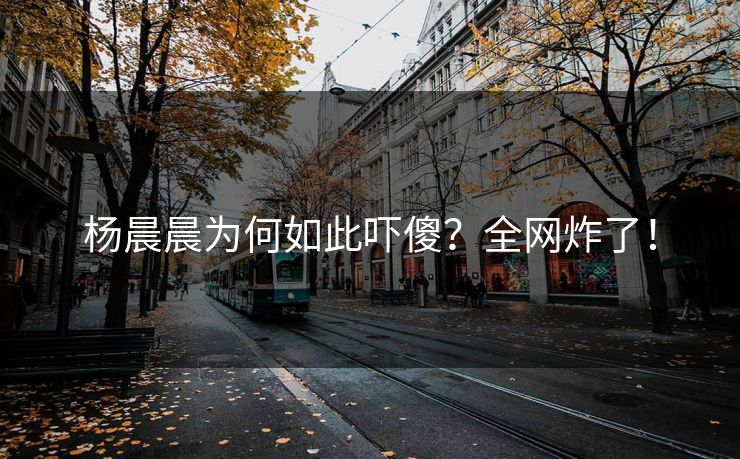 杨晨晨为何如此吓傻？全网炸了！