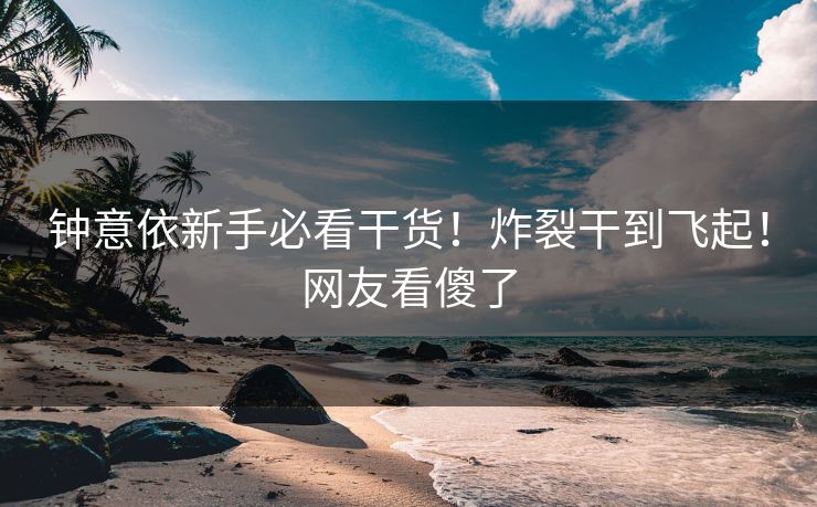 钟意依新手必看干货！炸裂干到飞起！网友看傻了