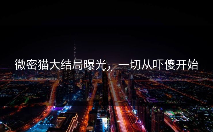 微密猫大结局曝光，一切从吓傻开始…