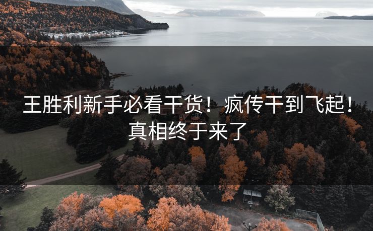 王胜利新手必看干货！疯传干到飞起！真相终于来了