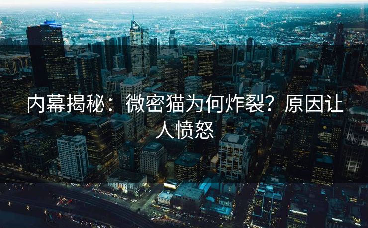 内幕揭秘：微密猫为何炸裂？原因让人愤怒