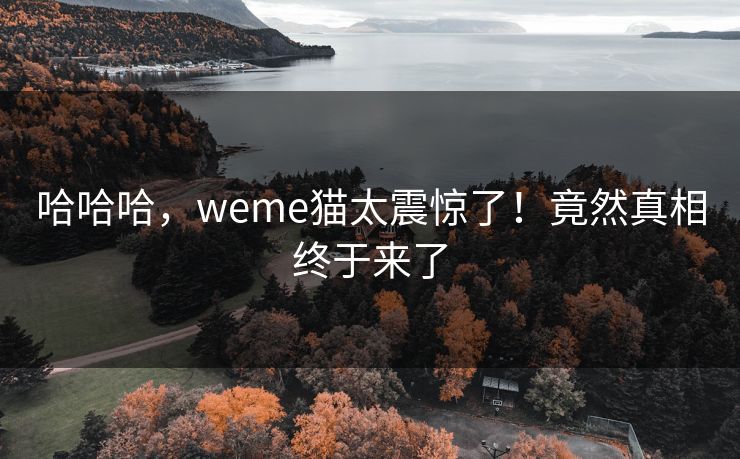 哈哈哈，weme猫太震惊了！竟然真相终于来了