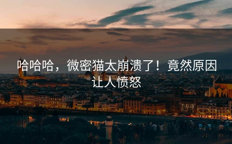 哈哈哈，微密猫太崩溃了！竟然原因让人愤怒