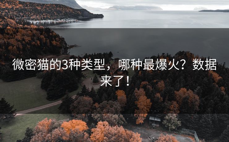 微密猫的3种类型，哪种最爆火？数据来了！