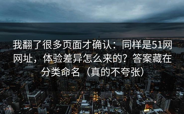 我翻了很多页面才确认：同样是51网网址，体验差异怎么来的？答案藏在分类命名（真的不夸张）